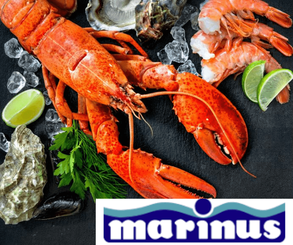 Працівник на упаковці морепродуктів Marinus